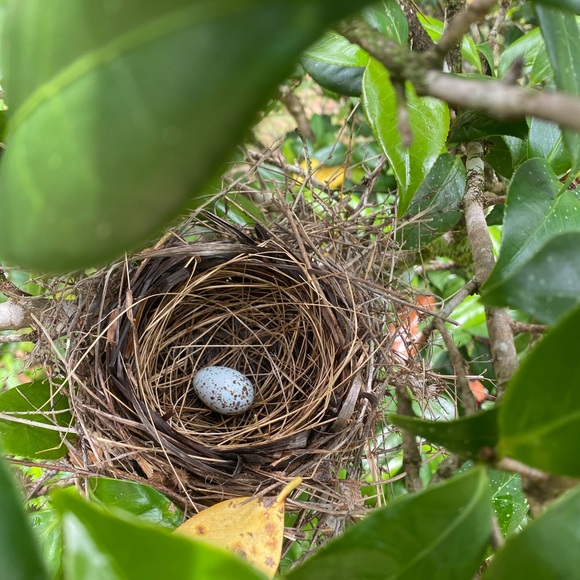 Meet your Posher, Debbie - Picture 12 of 15